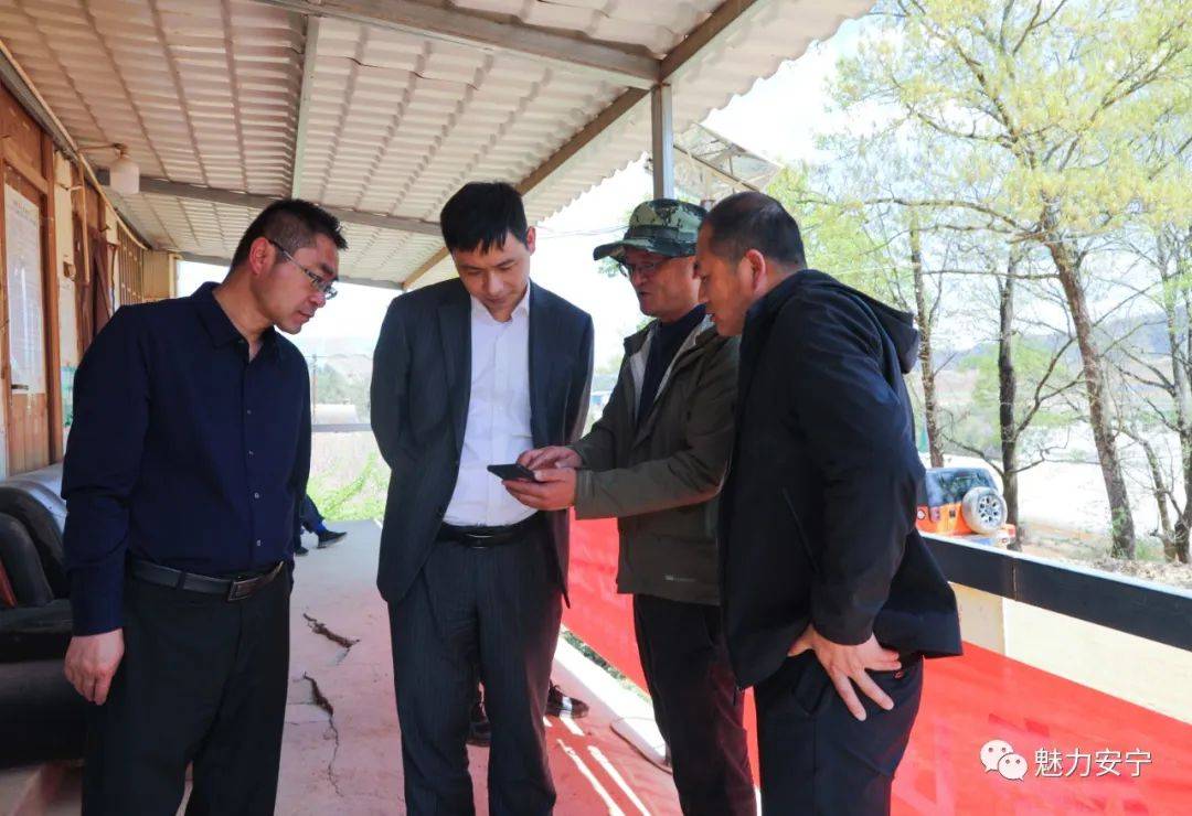 昆明市副市长张彦到安宁市开展巡林工作调研_防火_森林_全媒