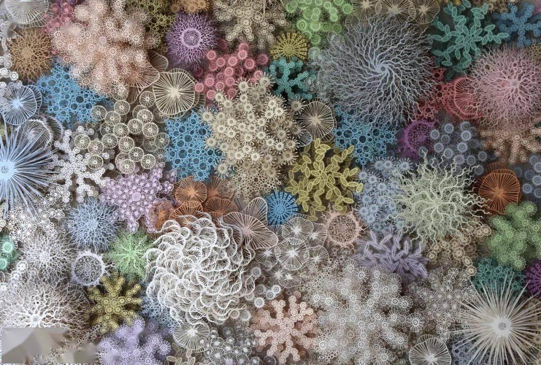 新展预告 | "科学 艺术"碰撞,早鸟票限时抢购!