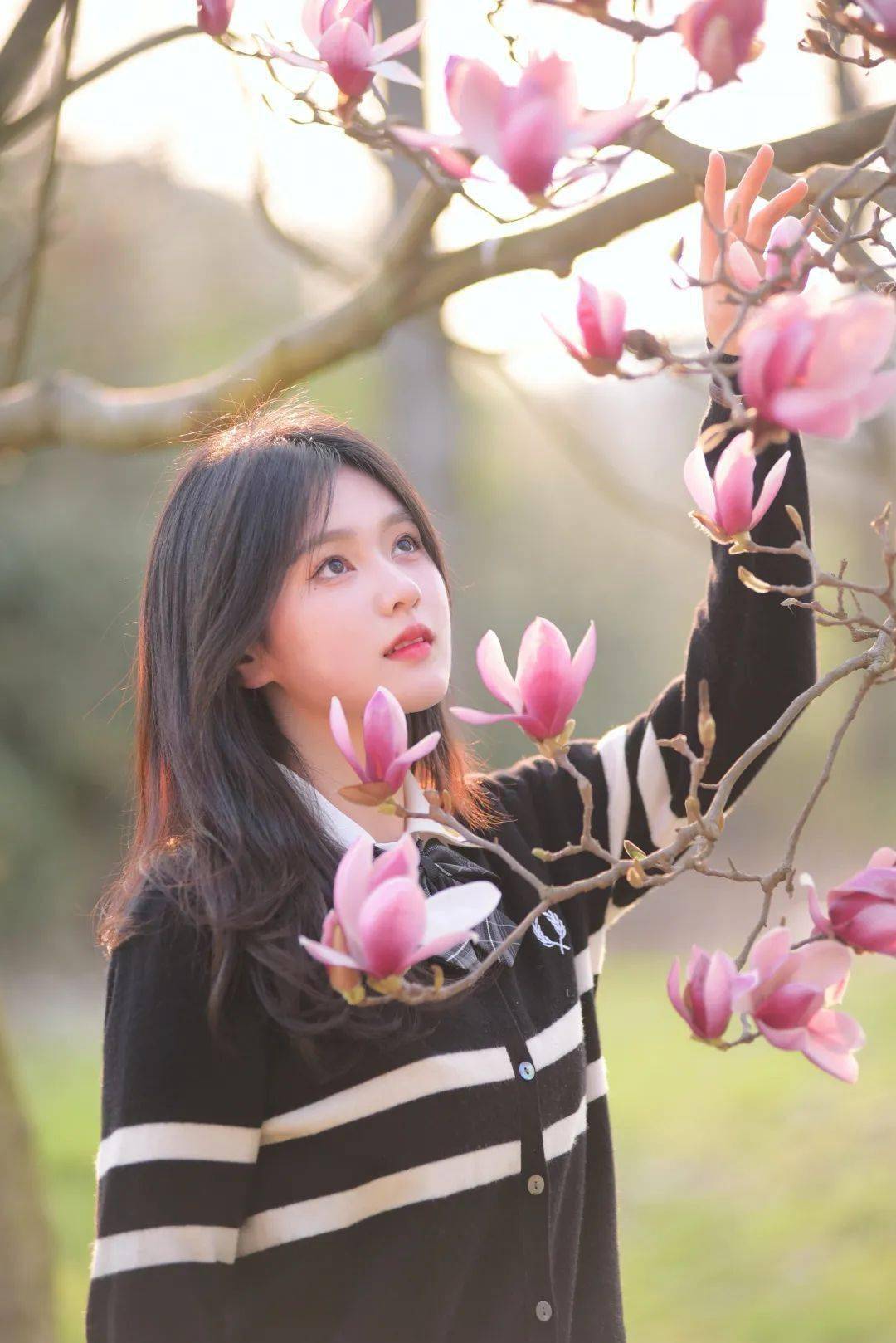 浙农林大的校花校草遇见了充满诗意的春天~_微风_冬日_芳香