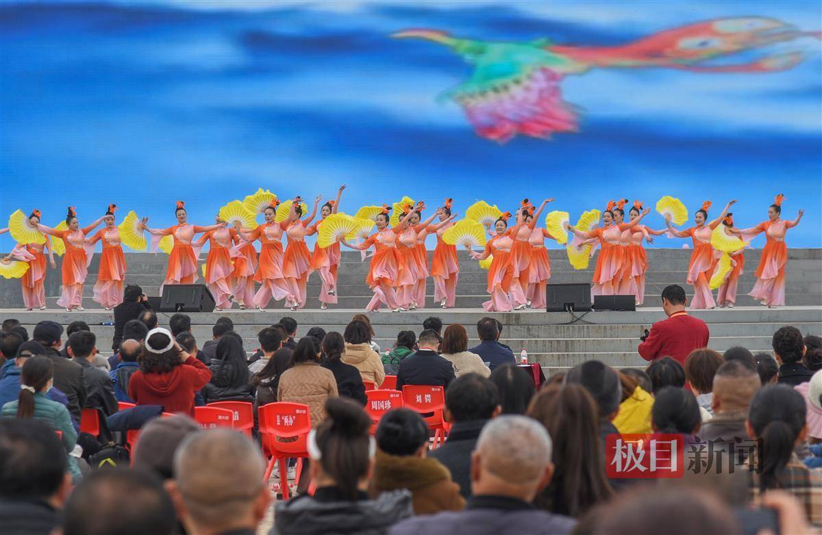 高安子君广场舞油菜花图片