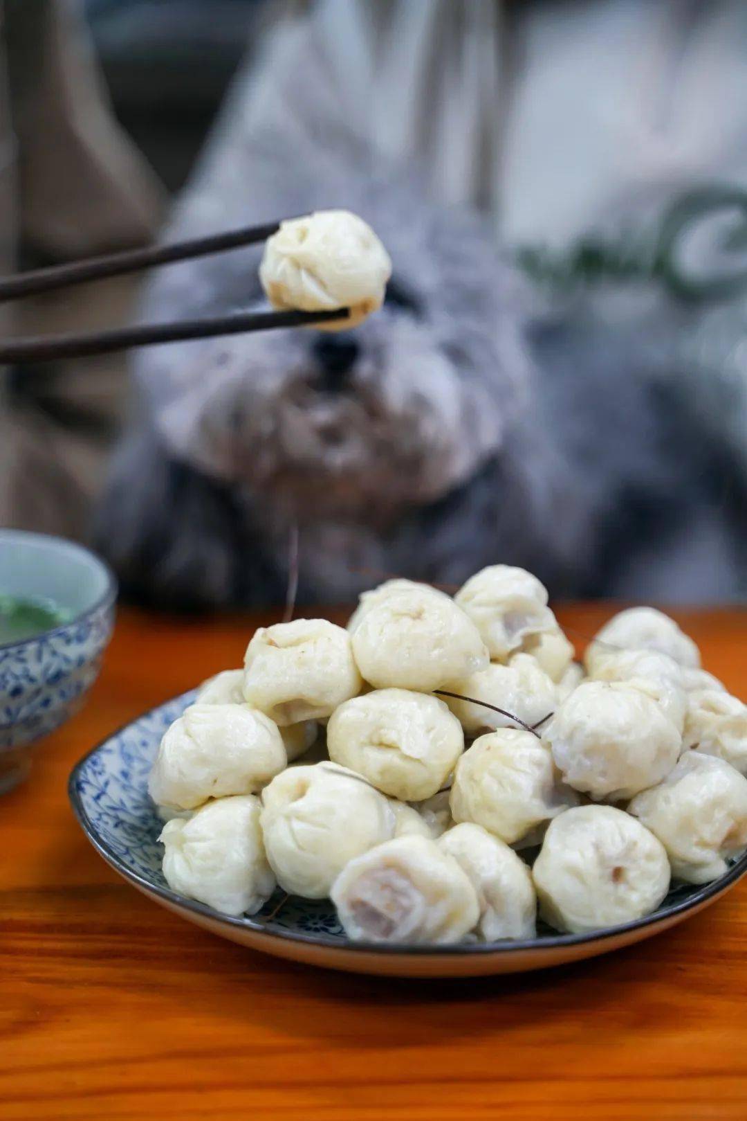 03月29日 | 松毛汤包_by_原文_photo