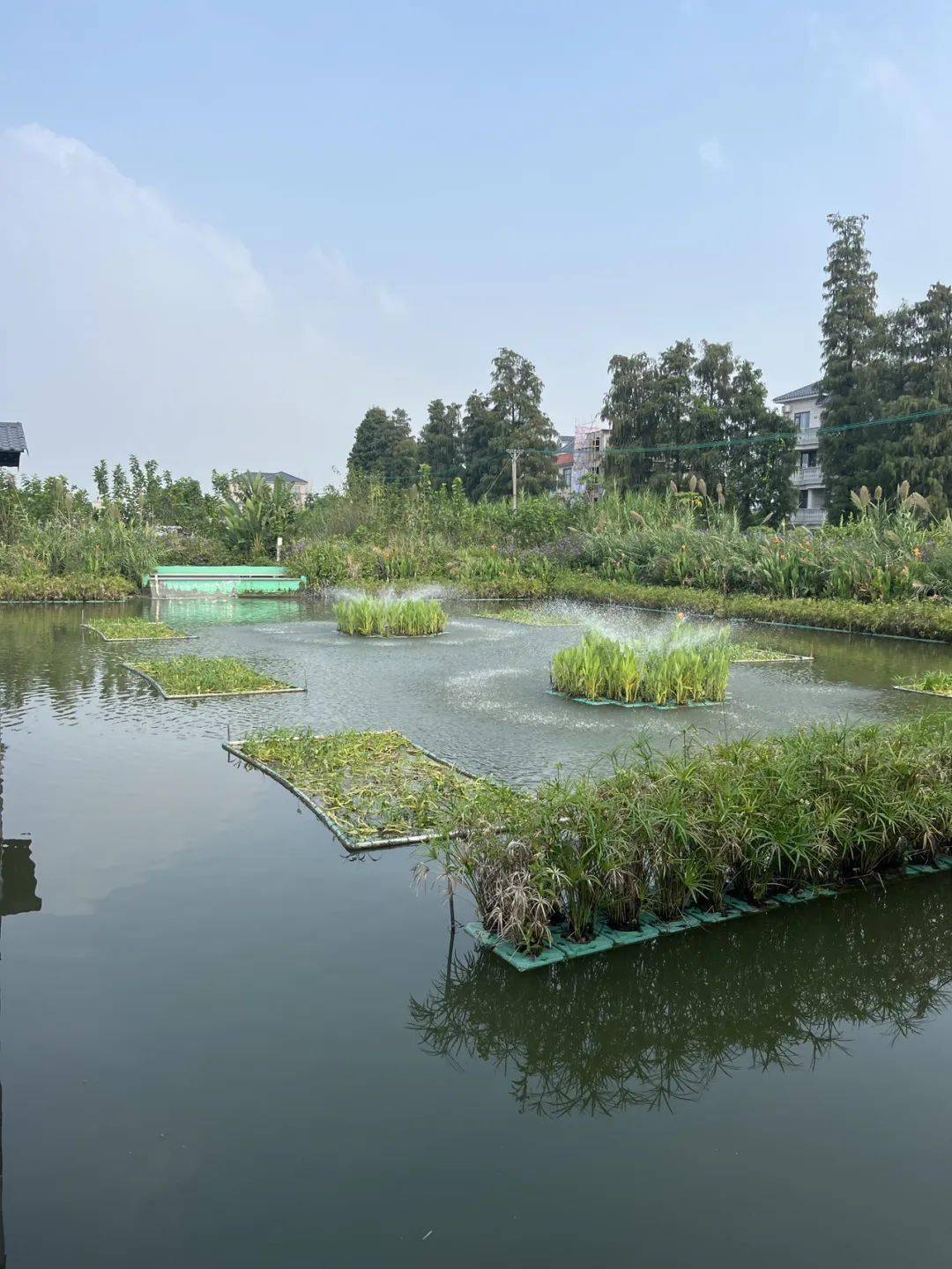 这几种方法有你认可的吗?_微生物_植物_方式