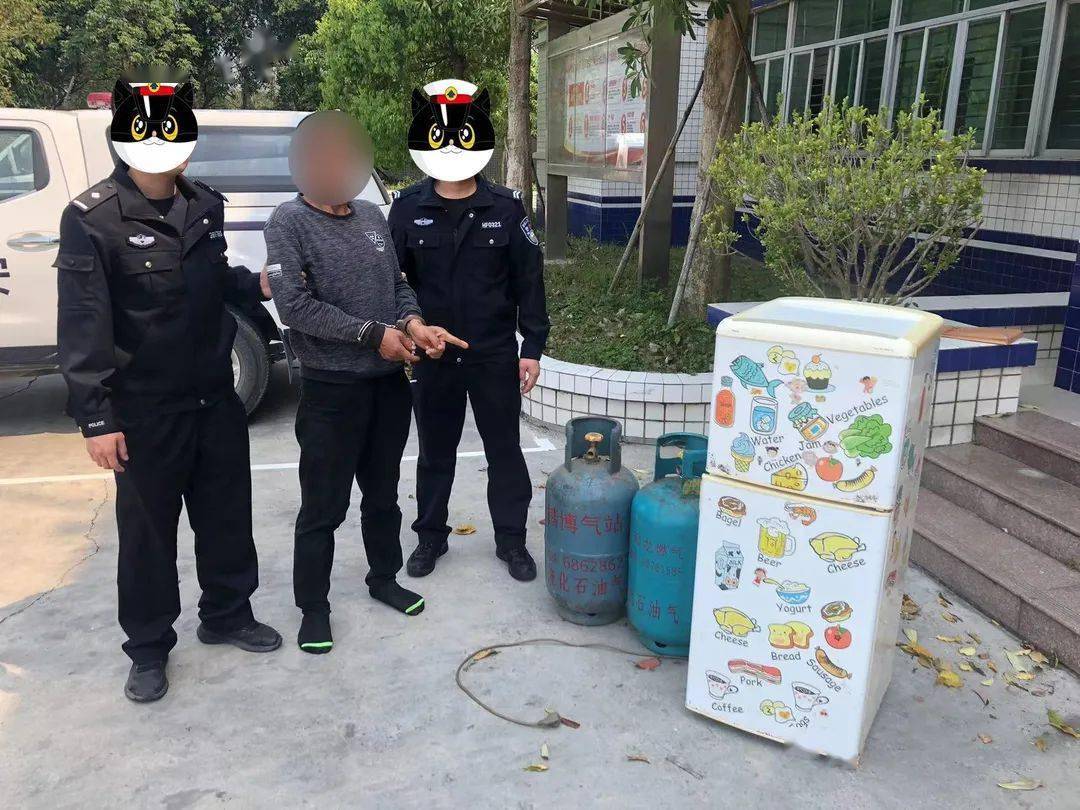 经审讯,田某凤交代其于3月9日11时许,驾驶三轮车经过靖海镇坂美村的一