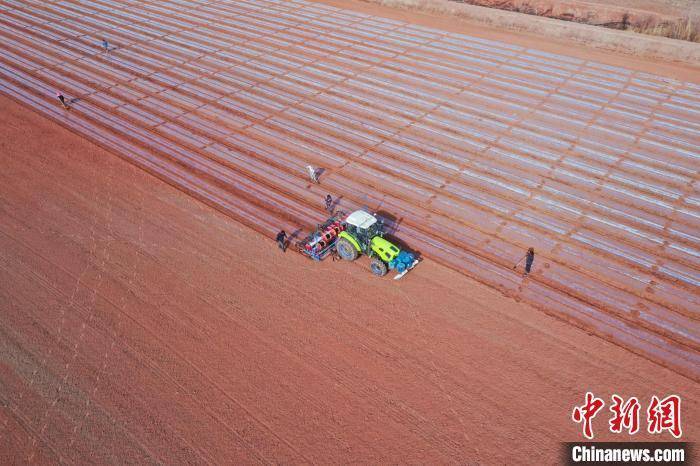 “斗极导航”助力新疆阿克苏市逾112万亩棉花实现精量播种