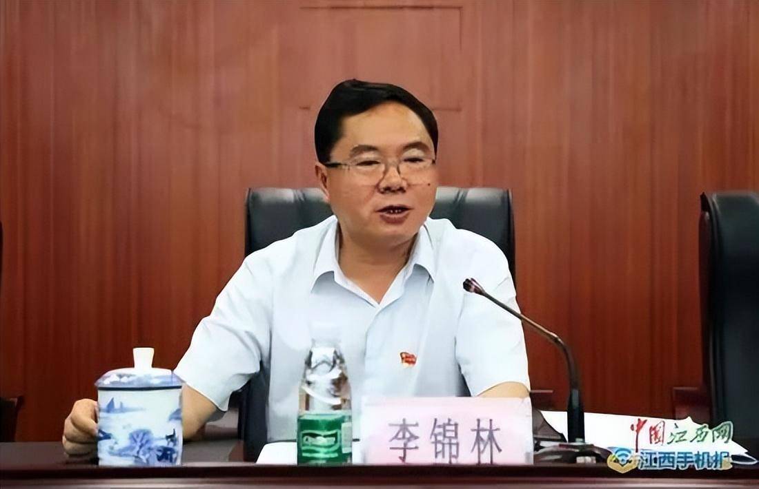 江西一开发区书记落马,搞"网红经济"造成国家重大损失_萍乡_李锦林_经