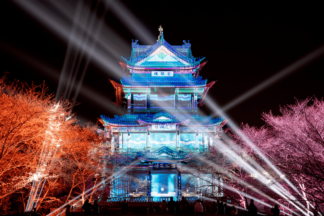 央视再关注!鼋头渚夜间经济火热,点亮文旅消费_樱花_景区_版权
