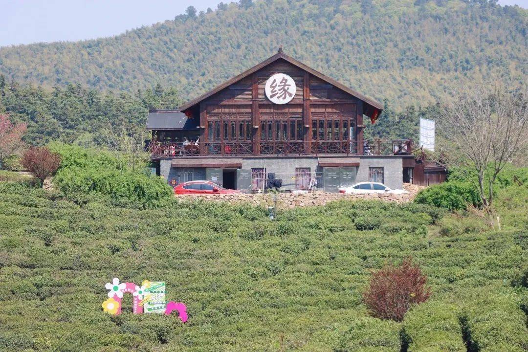 徽派建筑,制茶品茶美食一条街……4月2日,小编在黄龙岘茶文化村看到