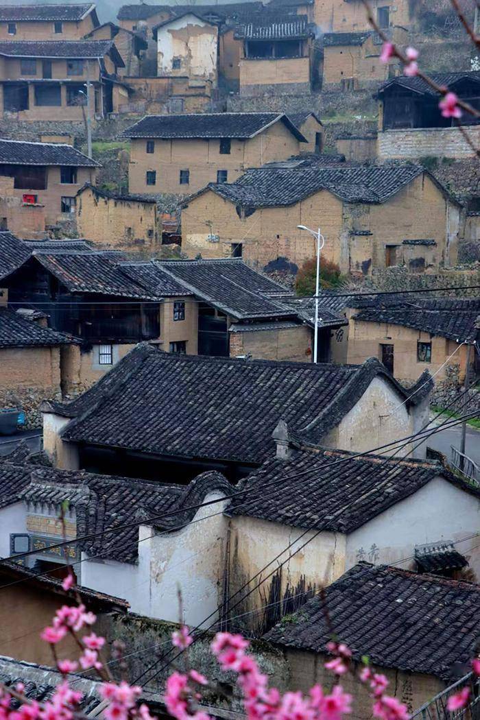 西川古村春景美如画_桃花_梨花_时光