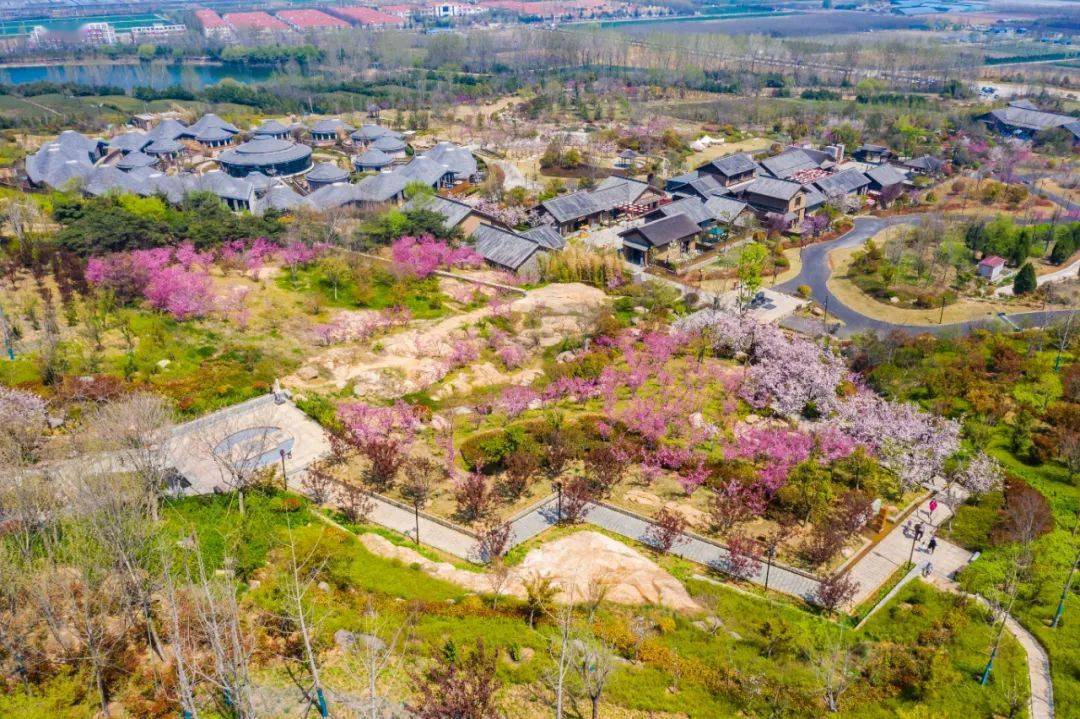 天台山露营节来啦!邀请春光和晚霞,共度灿烂时光~_烧烤_套餐_日照