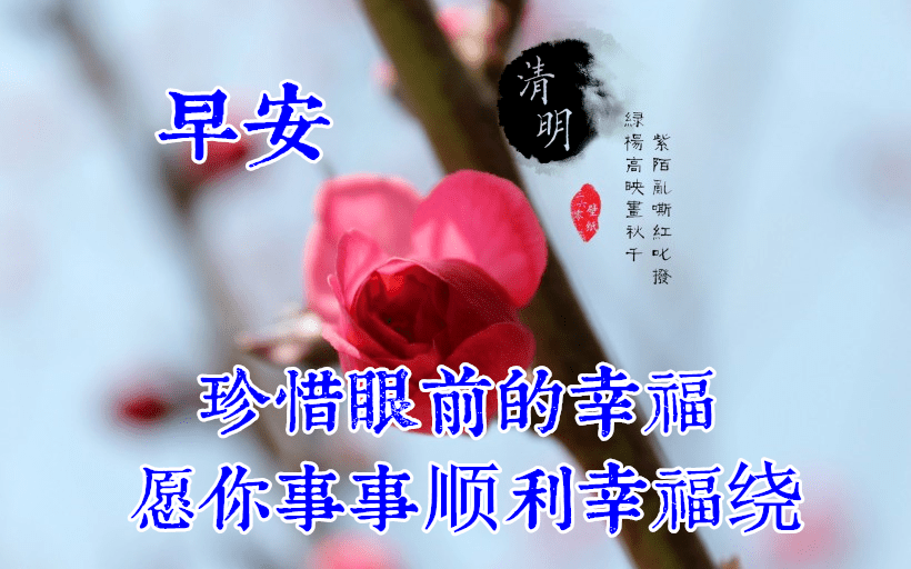 清明节早上好图片大全图片