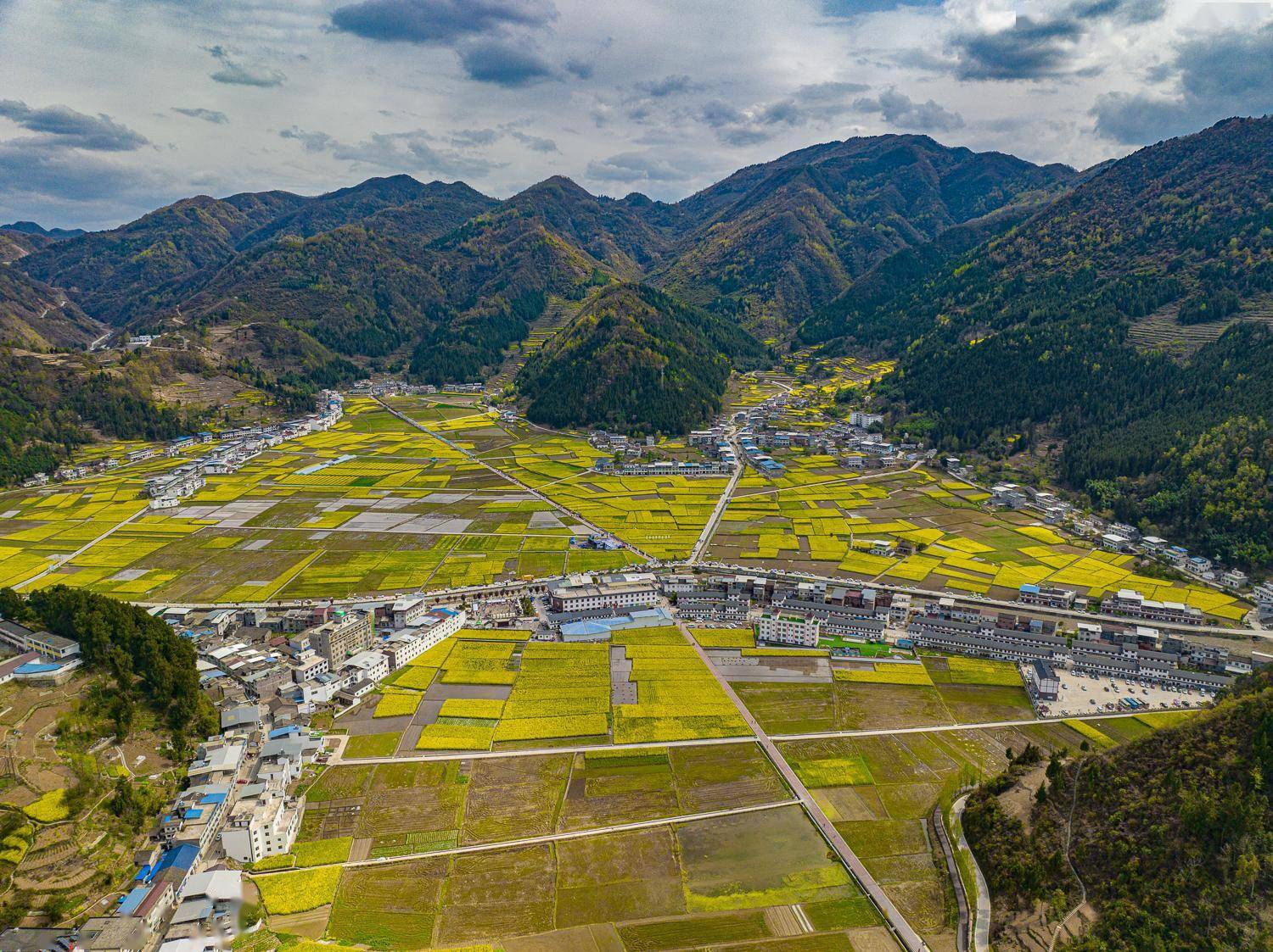 共赴巴山春华盛事!带你玩转镇巴油菜花节_活动_镇巴县_手工