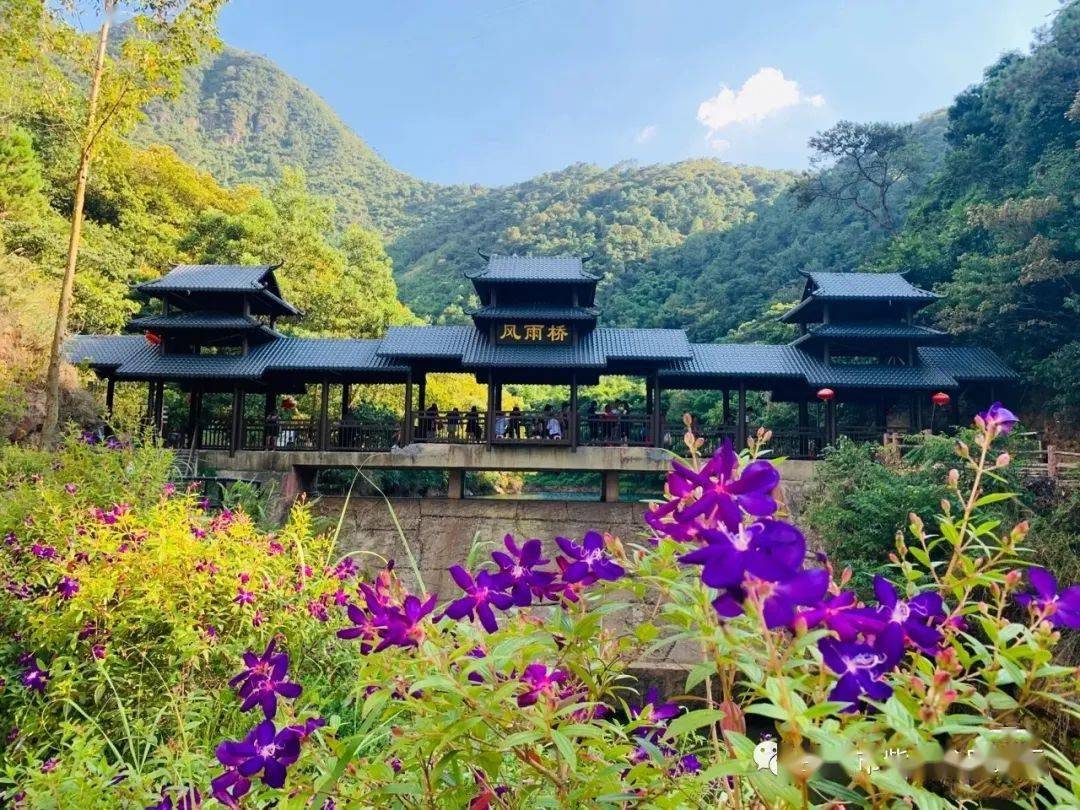 以上6圖源:紫雲穀風景區象山象山位於高要區南岸街道陳孔村南象鼻山麓