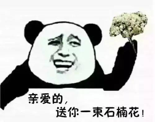 石楠花为什么叫最污花（石楠花好臭为什么满大街都种） 第6张