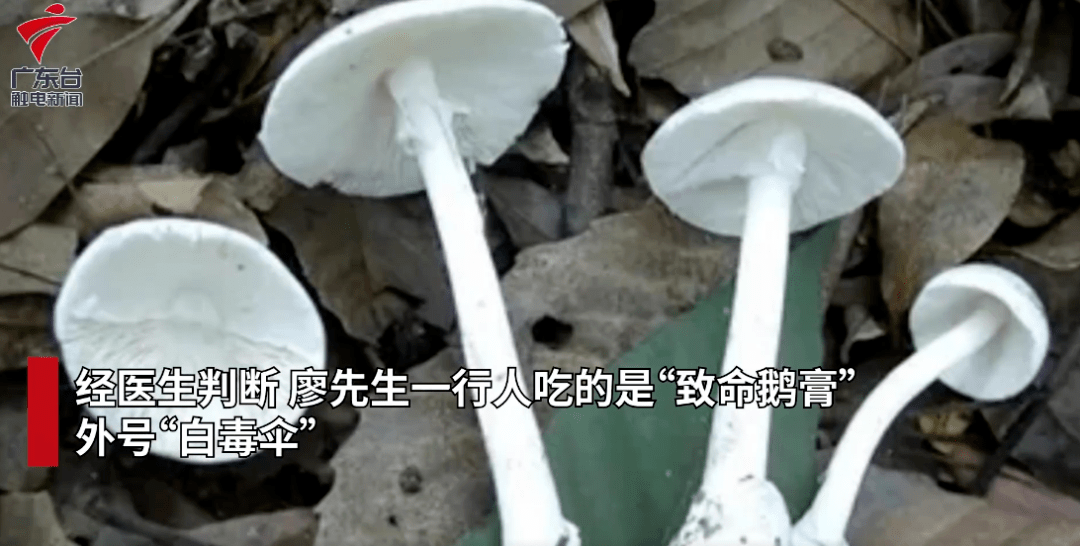 告急提醒！“毒王”即将上线