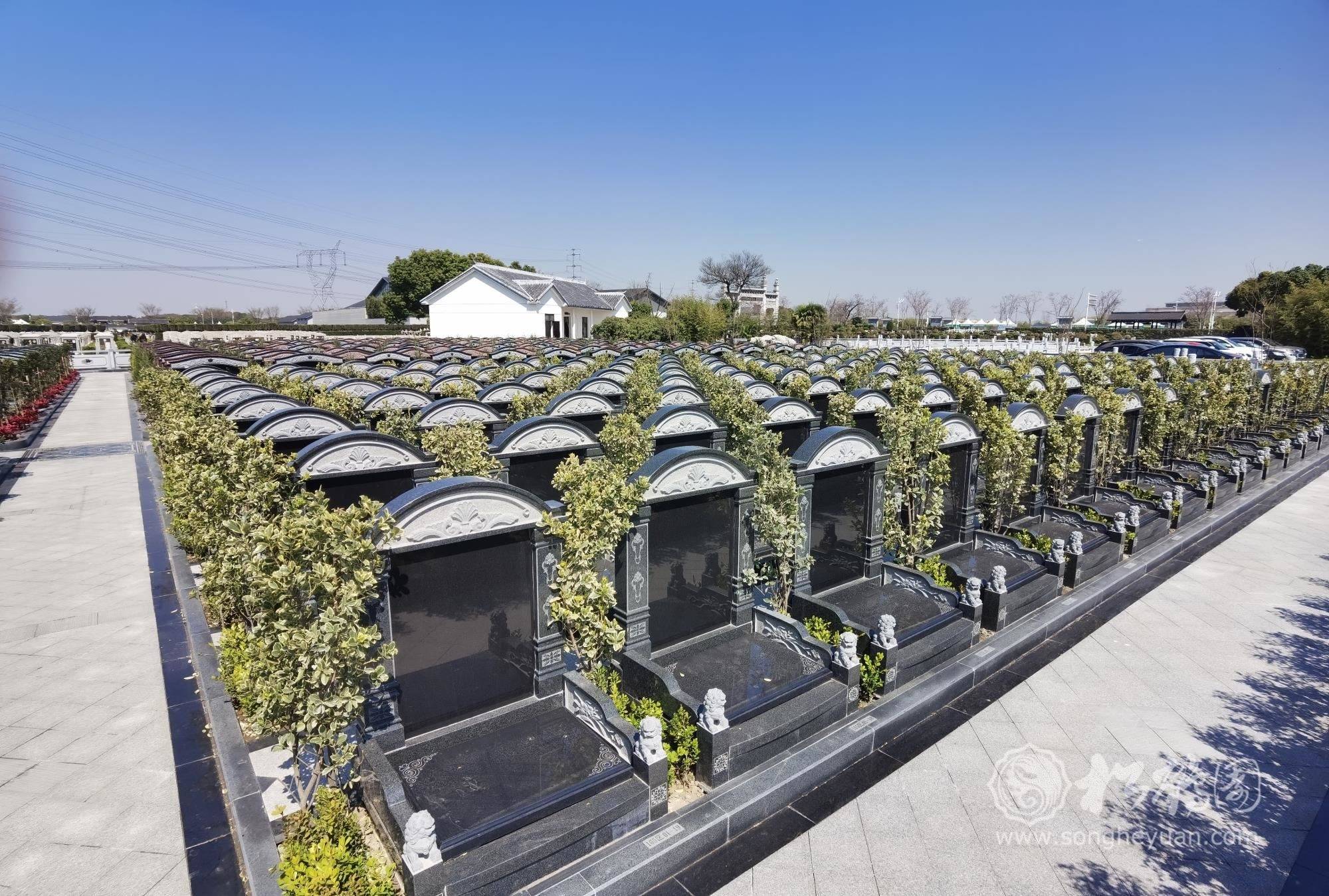 4月6日,九派新闻记者以消费者身份从上海松鹤园墓地处了解到,土葬墓穴