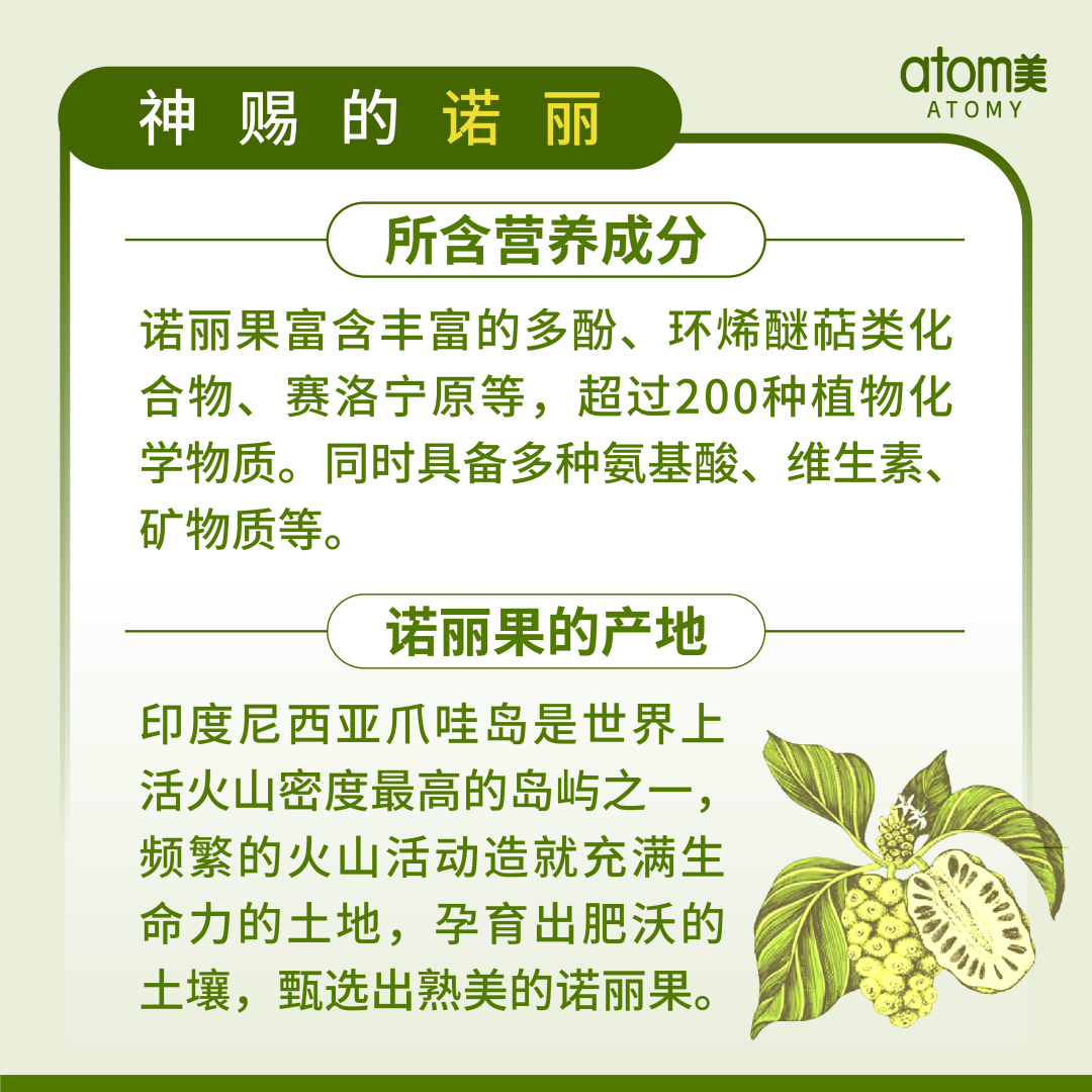 艾多美健康知识 | 营养丰富的诺丽果_版权_世界_文章