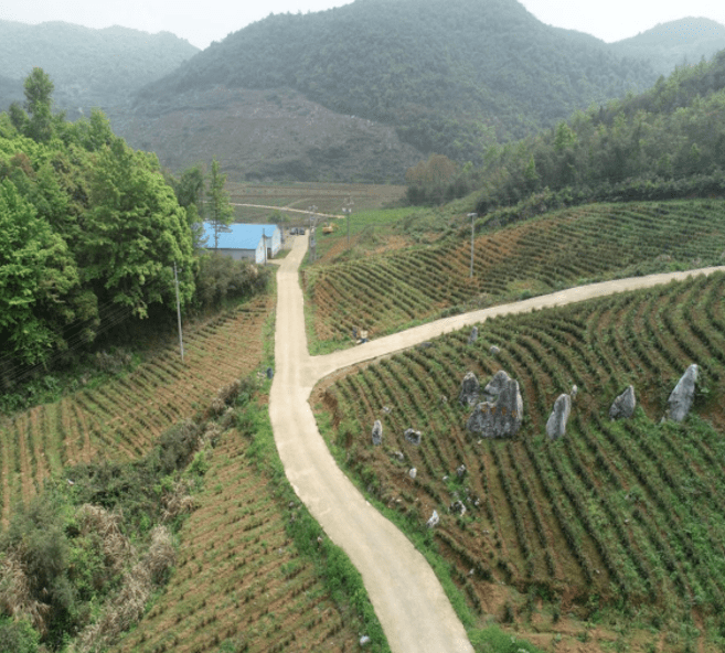 群贤毕至话桑梓——阳新县三溪镇举办"智汇三溪"恳谈会_发展_创业