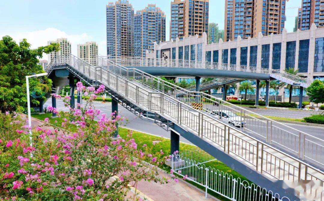 湖心路_交通_交叉口