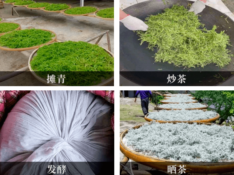 莓茶制作过程图片