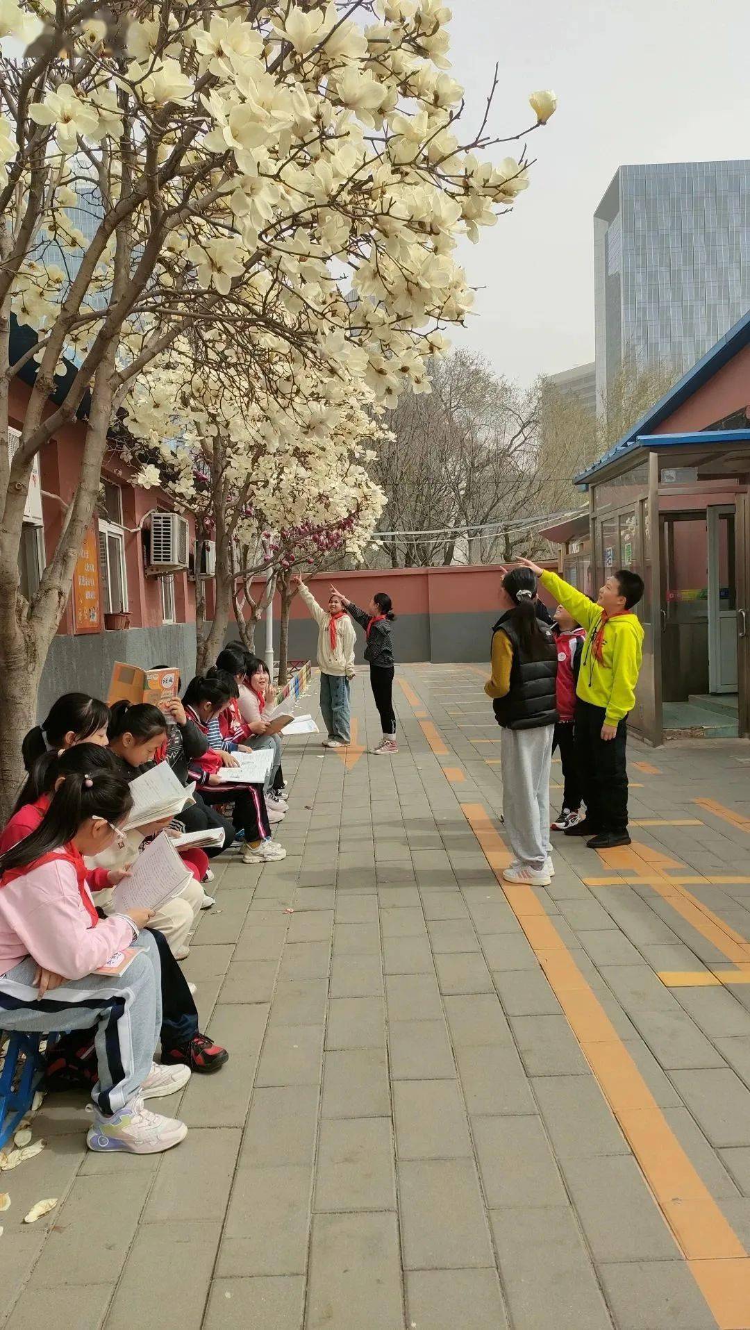 摄影者:张静《春俏》摄影者:刘玉环《春俏》摄影者:张圆圆《春花烂漫