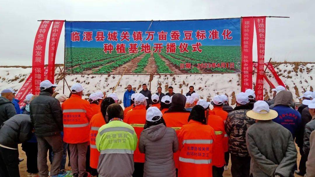 临潭县城关镇举行万亩蚕豆标准化种植基地开播仪式_指导_建设_农业