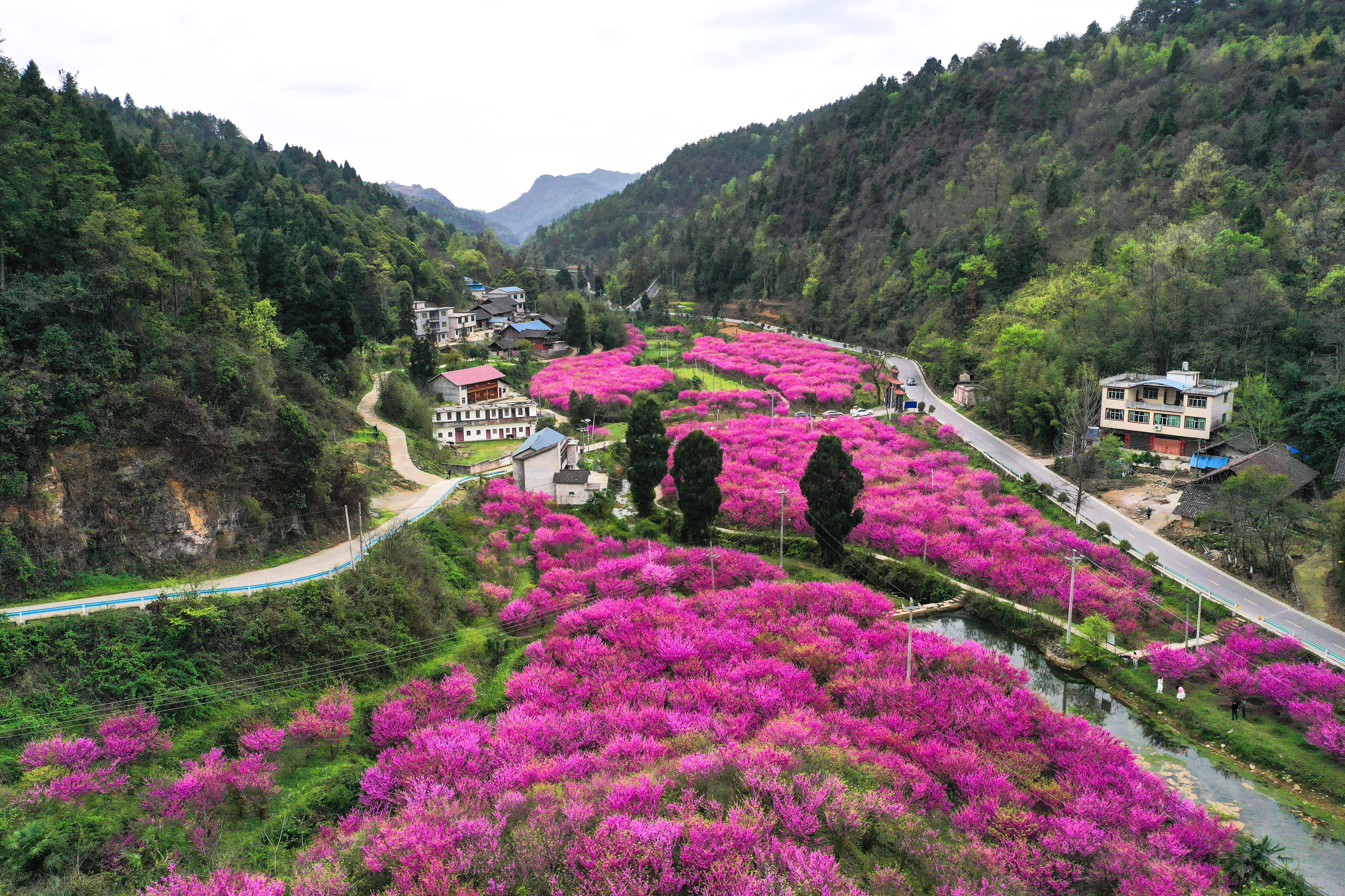 常山县天马镇图片