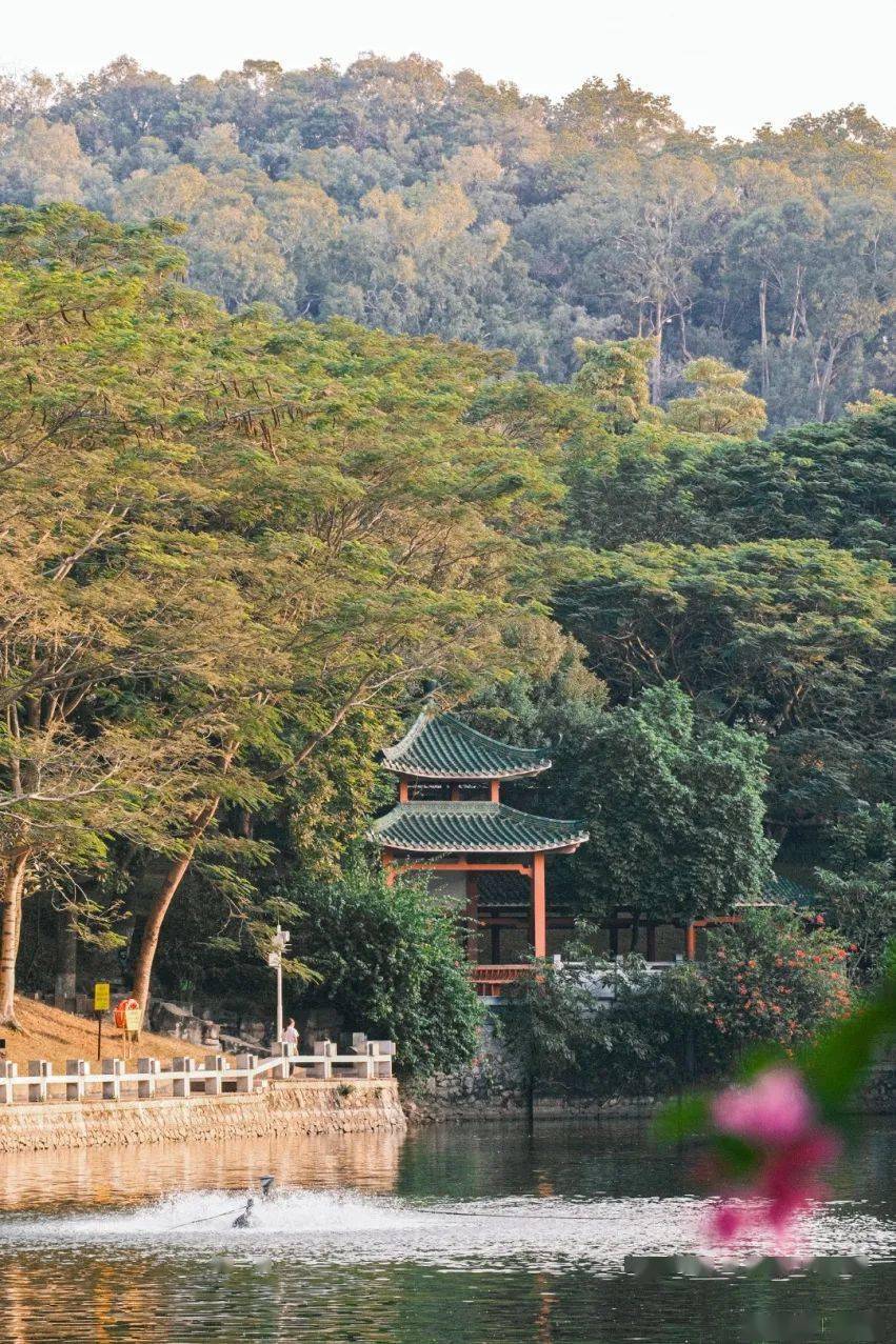 摄影:王晓彤/影像莞东莞人对于旗峰公园,最熟悉不过了,位置优越,不想