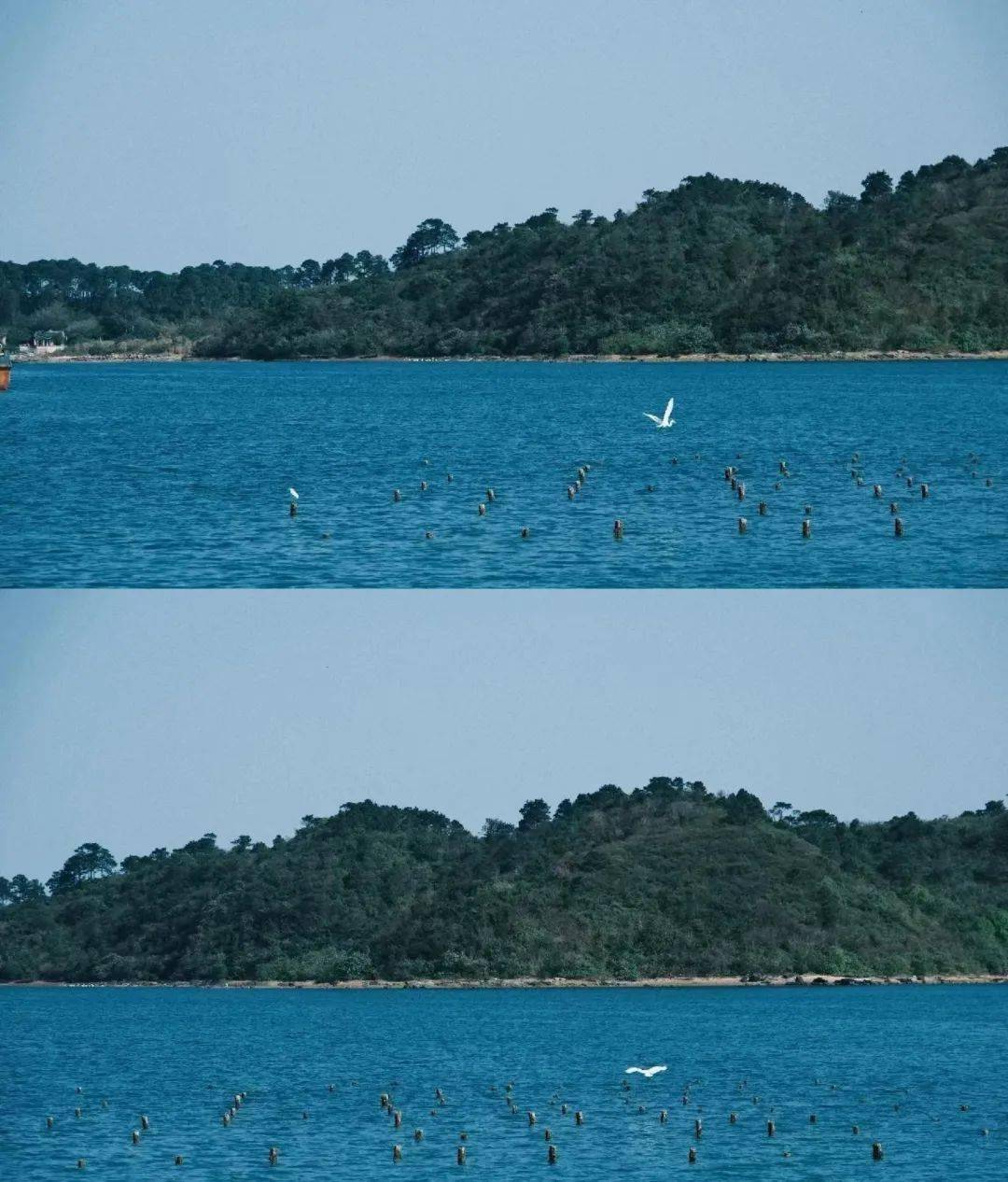 春暖花开,阳光正好,不如和你爱的人,爱你的人一起来台州看海吧~_沙滩