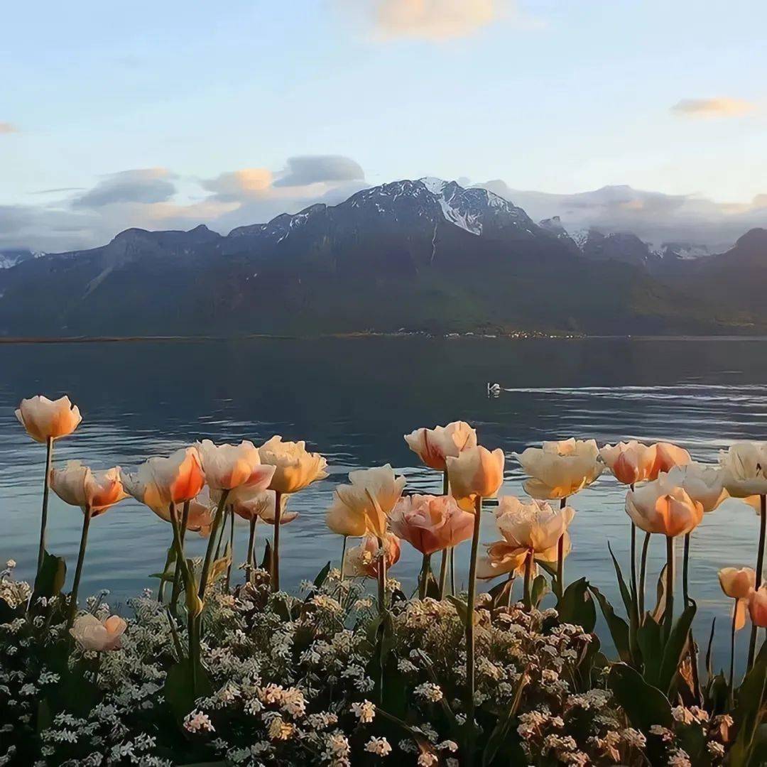 分享一组有格调的背景图~