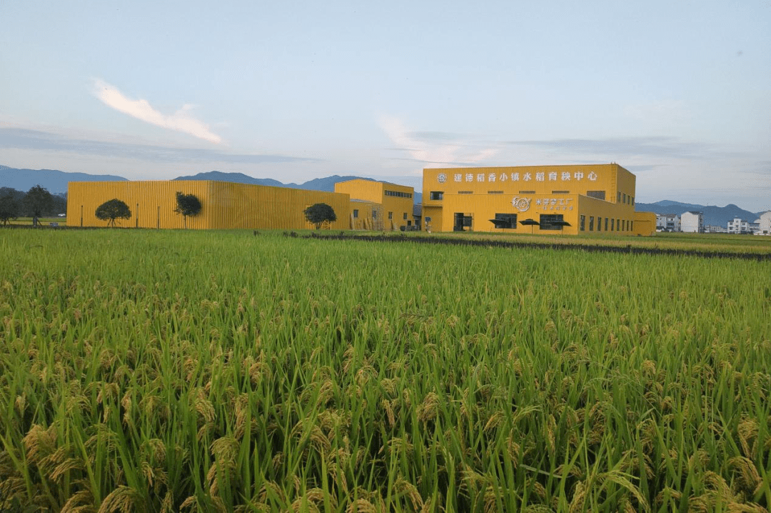 省级基地,建德这两个获批!