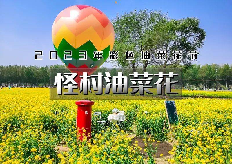 怪村油菜花门票图片