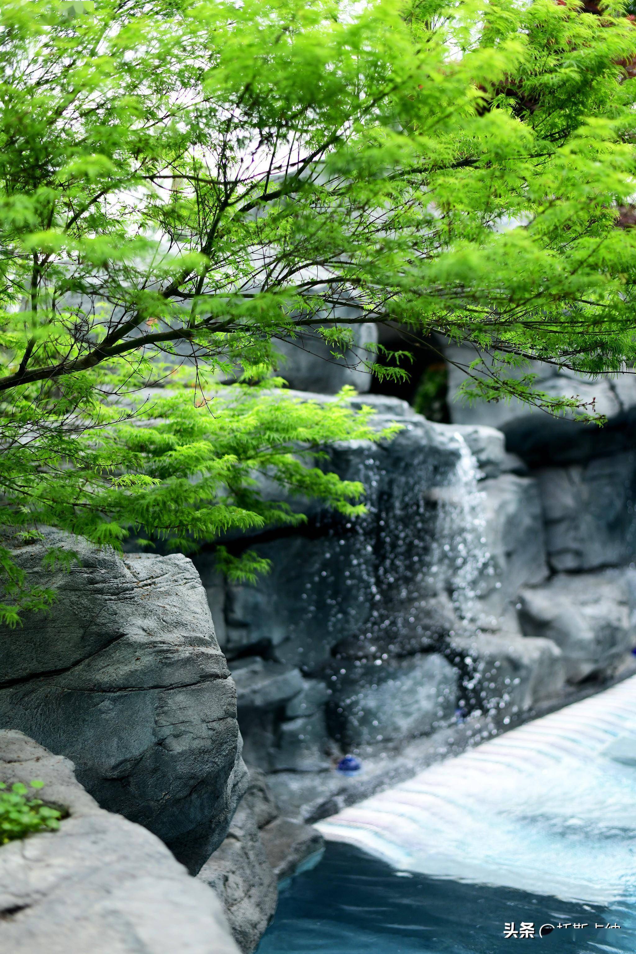 花开成都 | 成都青城山花间堂·山澄清,山脚下的惬意避世情怀_都江堰