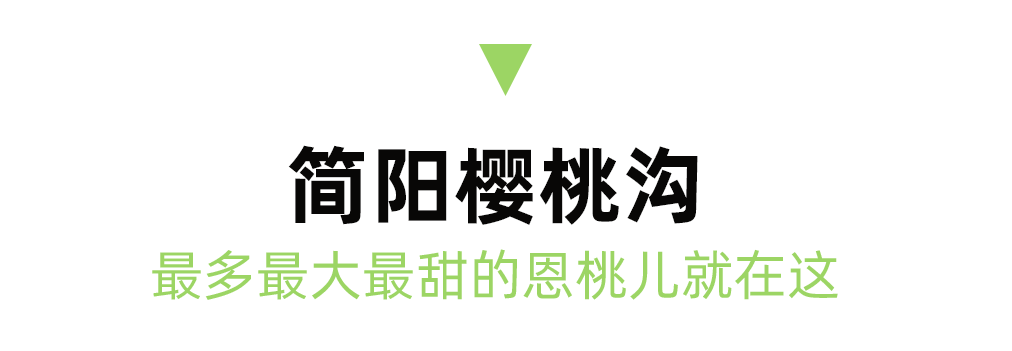 2023成都周边最全恩桃儿采摘地图出炉，6条线路保藏！