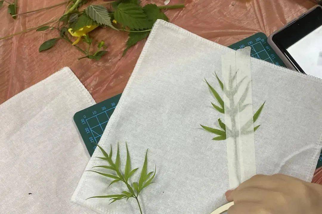 排列固定将花草树叶用明矾水浸泡,便于固色.