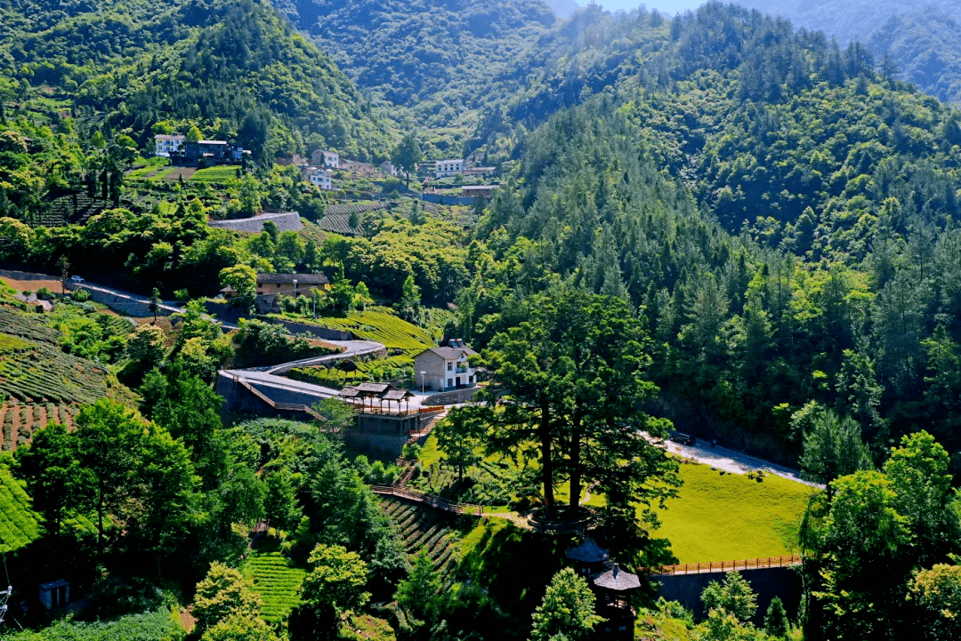 共同缔造丨木鱼镇红花坪村:共同缔造 探索旅游发展新思路_木瓜园_建设