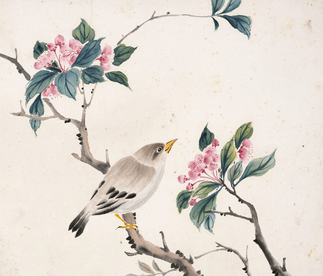 【书画欣赏】周炼霞:花鸟册_成功_宣传_合作