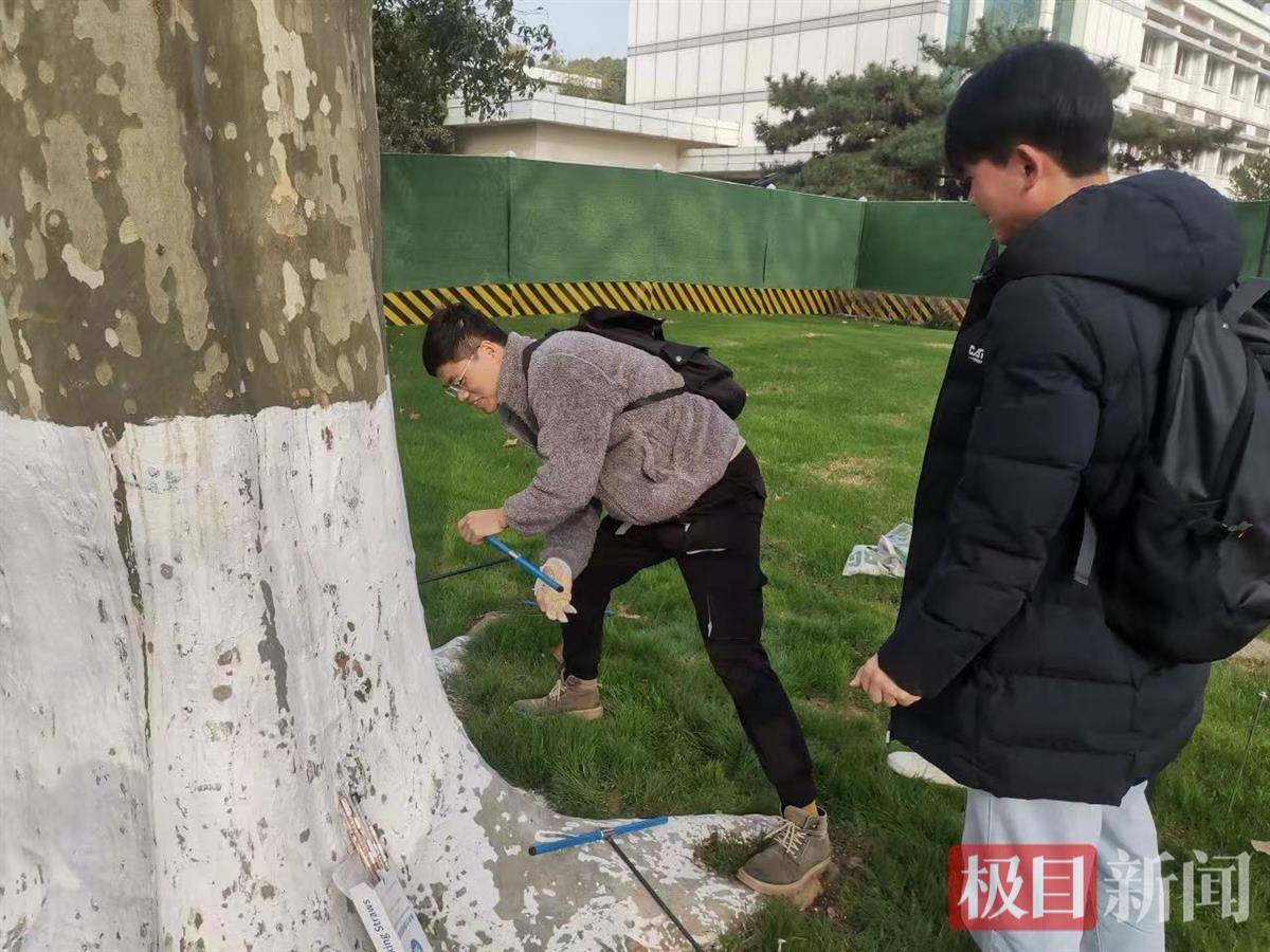 树的年轮较密的地方向着什么面（树的年轮较密的地方向着什么面为什么） 第3张