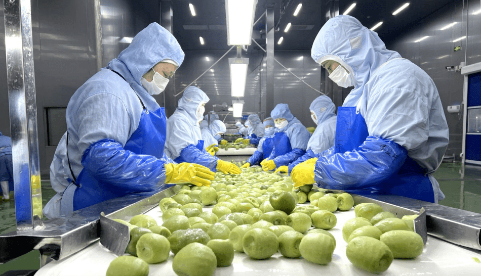 发力预制菜 打出"寿光牌"_生产_加工_产业优势