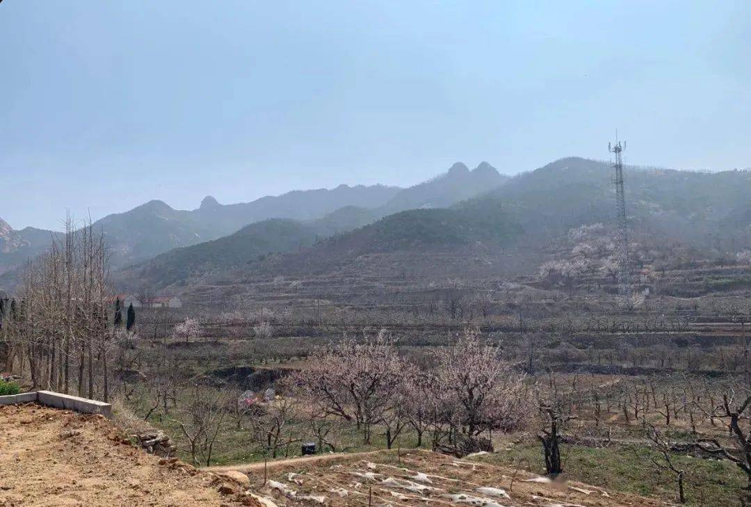 龙口石良有个小山村,藏着许多故事. ._村里人_村民_蓬莱市