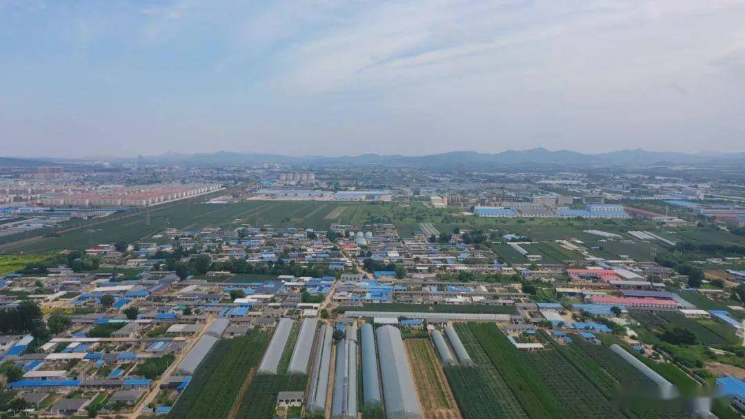 春到田间 万象"耕"新_芦屯镇_张华锋_保障