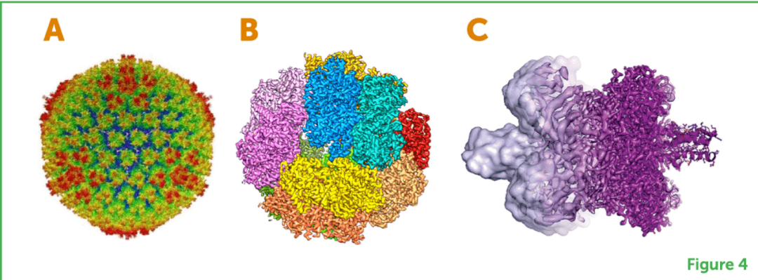 ŵ��������⣺�䶳�羵��������ֱ��ʸ���