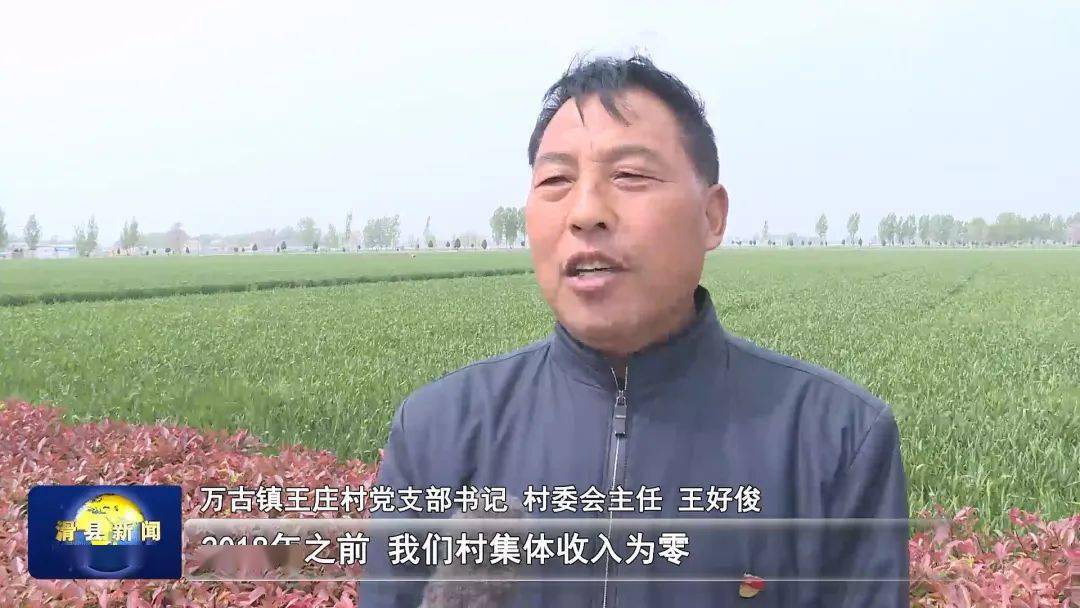 万古镇王庄村:争创"五星"支部 打造富美乡村