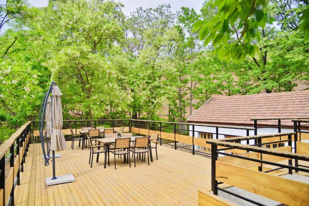 朱家林原舍·柿家民宿 | 四星级民宿 一起畅想诗与远方_生活_孩子