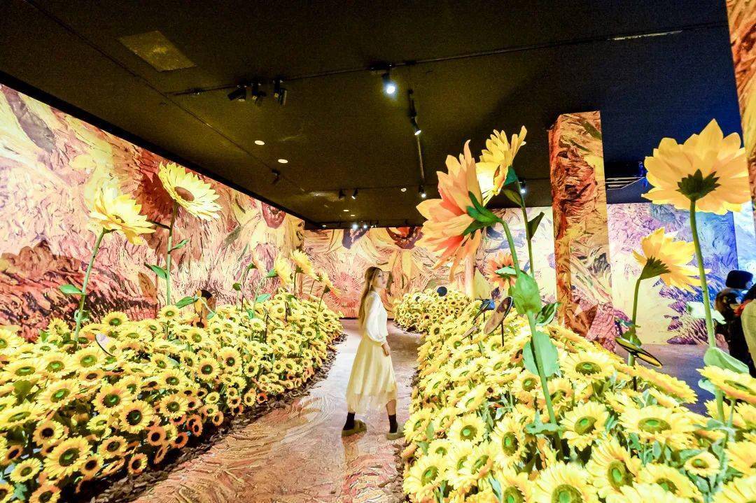 梵高的内心焰火,在上海"燃"起!_光影_展区_麦田