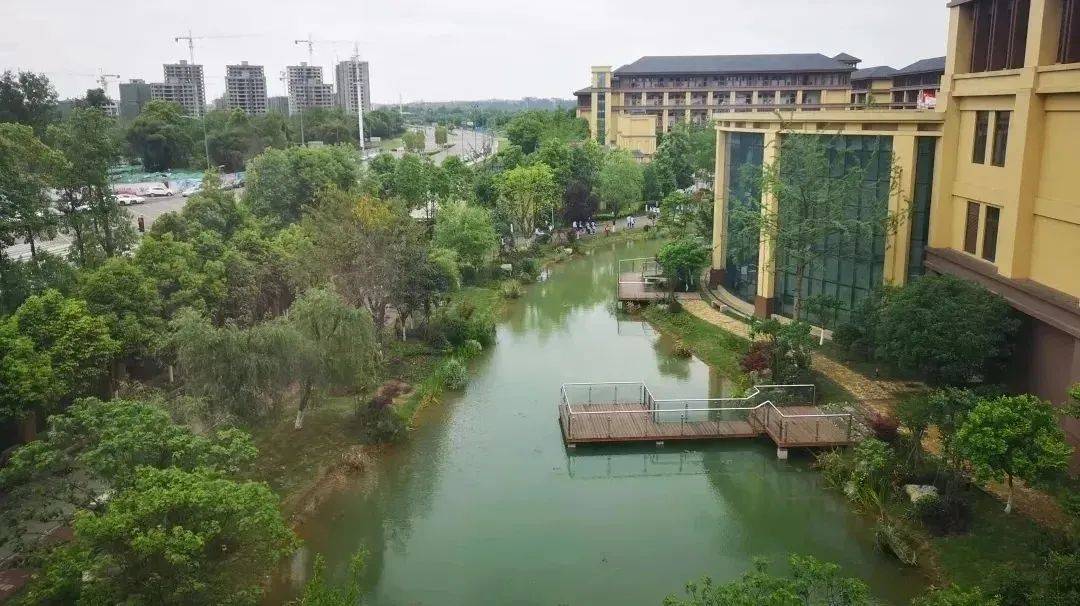 成都双流棠湖中学_棠湖中学发展历程_棠湖中学办学模式
