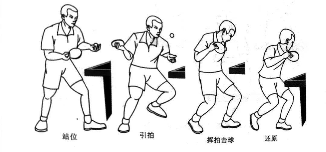 【乒乓球】嗨,来学发球啦!_动作_正手_身体