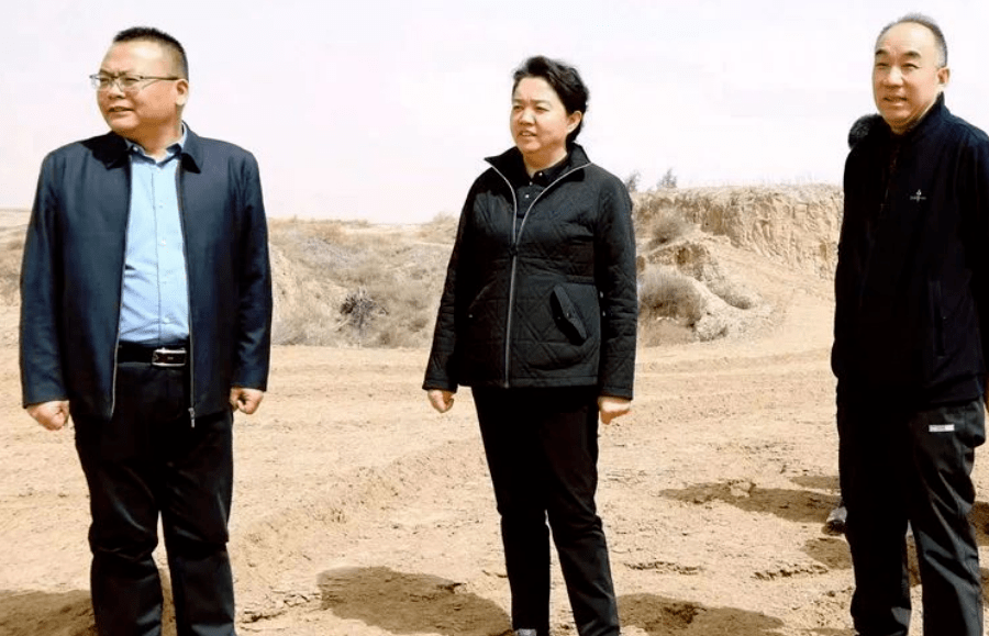 4月11日,河曲县委副书记,县长徐晓兰深入乡镇专题调研黄河干流沿线