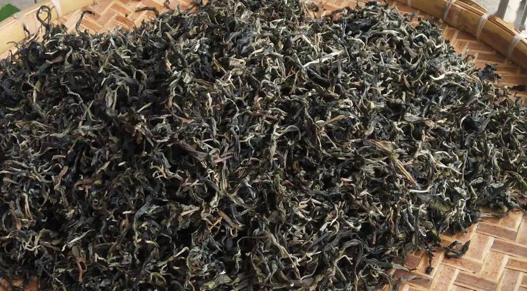 盛产于广东省南昆山脉增城地带经中山大学生命科学院鉴定表明,毛茶有