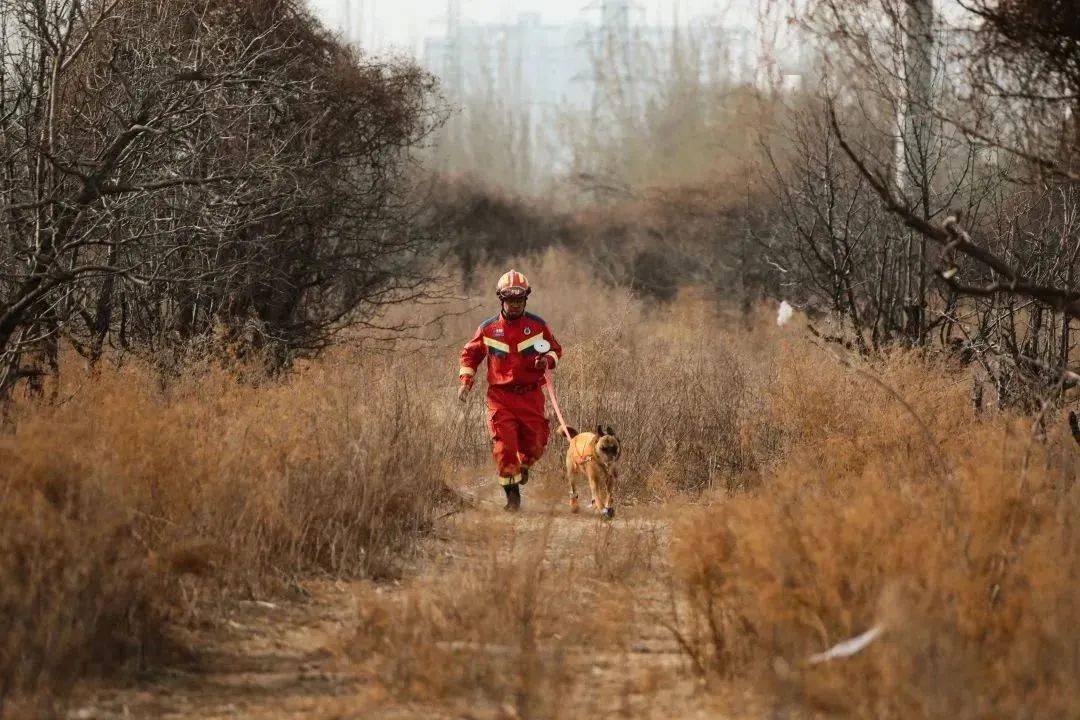 图图搜救犬抖音_搜救犬图图搜救视频_搜救犬图图视频