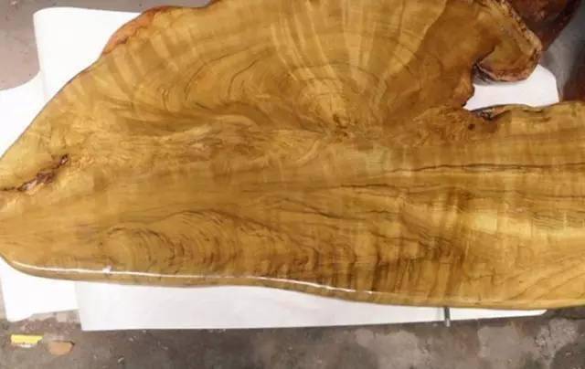 黄心楠,黄金樟,金丝楠辨别._香气_楠木_樟木